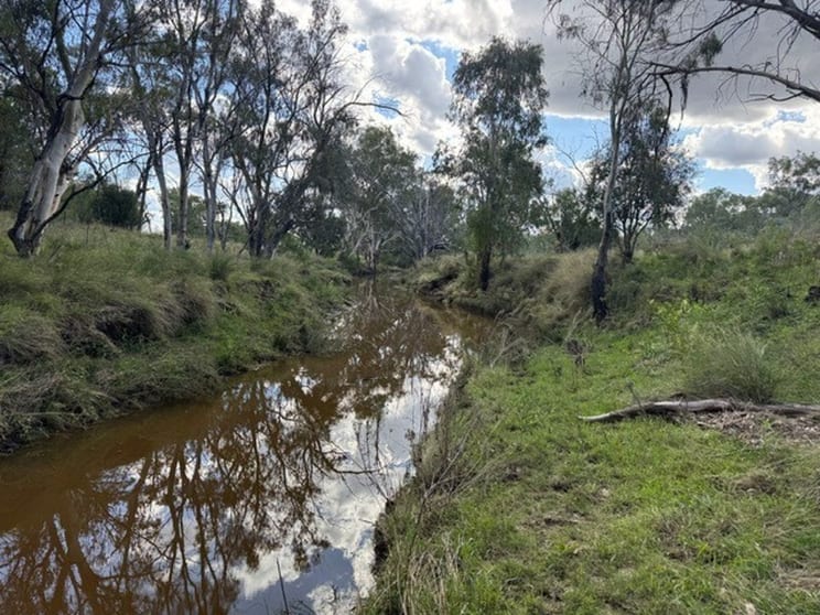 Click to view all images "Geida Downs" Warialda NSW 2402 - Image 2