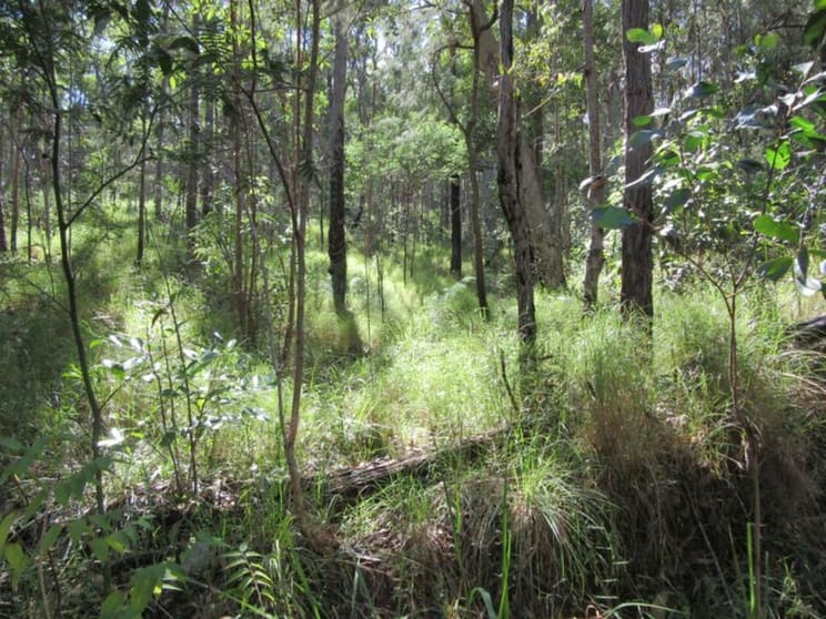 Click to view all images Lot 7 Bulldog Road Tabulam NSW 2469 - Image 3