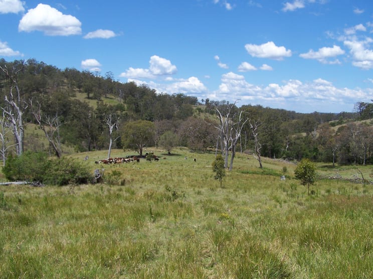 Click to view all images 1 Razorback Creek Road Rivertree NSW 2372 - Image 1