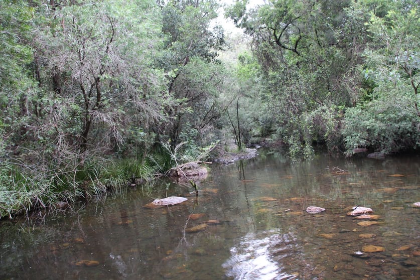 Wherrol Flat NSW 2429 - Image 1