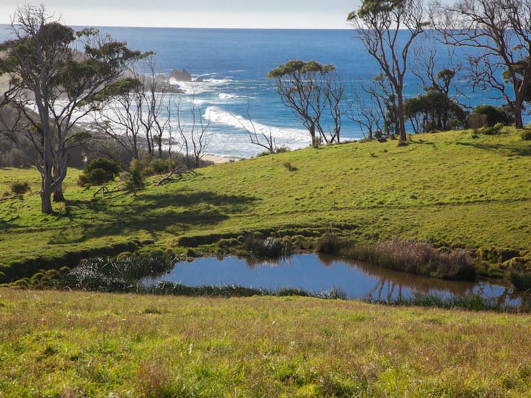 Lot 3 O'Shea Road Murrah NSW 2546 - Image 1