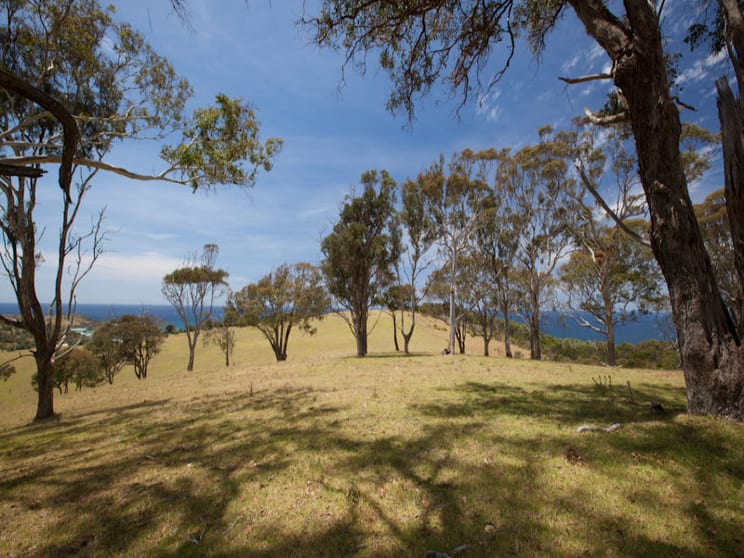 Lot 3 O'Shea Road Murrah NSW 2546 - Image 2