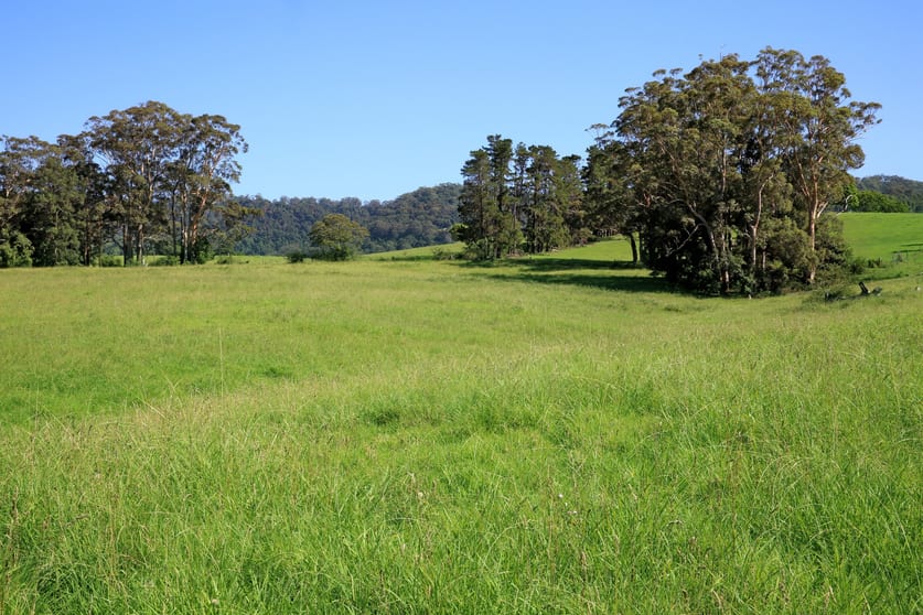Click to view all images 76 STRONGS ROAD Jaspers Brush NSW 2535 - Image 2