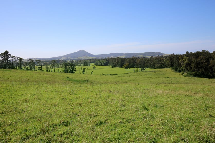 Click to view all images 76 STRONGS ROAD Jaspers Brush NSW 2535 - Image 3