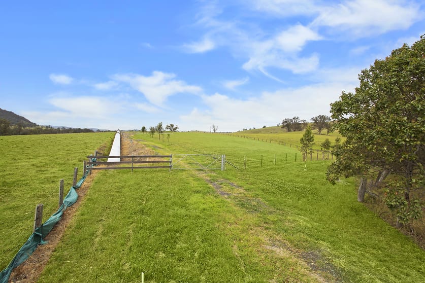 Click to view all images Lot 13 DP621541 Hennys Road Dungog NSW 2420 - Image 3
