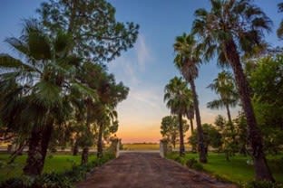 587 Rolfe Road Finley NSW 2713 - Image 1
