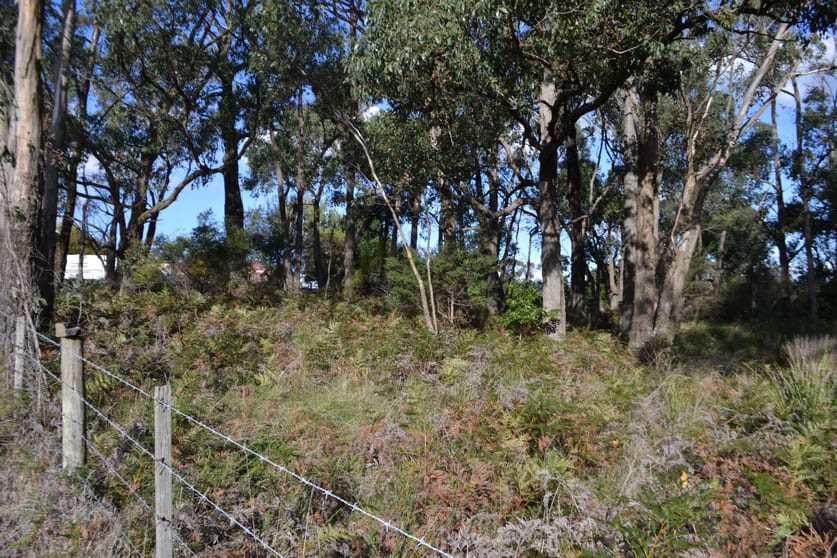 Lot 1 Nyora St Hellier Rd Loch VIC 3945 - Image 2