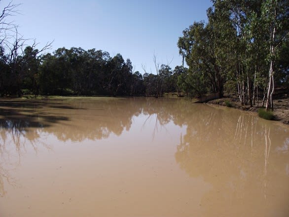 24265 Moonie Highway St George QLD 4487 - Image 1