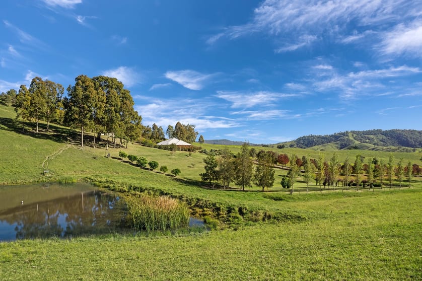 1295 Bingleburra Road Gresford NSW 2311 - Image 2