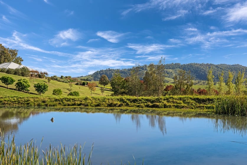 1295 Bingleburra Road Gresford NSW 2311 - Image 1