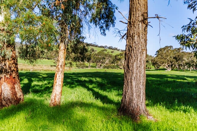 173 Proctor Road Hope Forest SA 5172 - Image 2