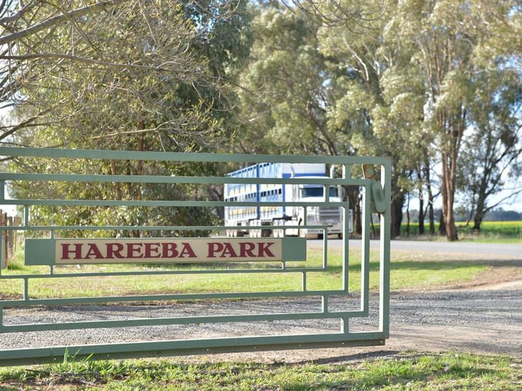 160 McPhails Road Bundalong VIC 3730 - Image 2