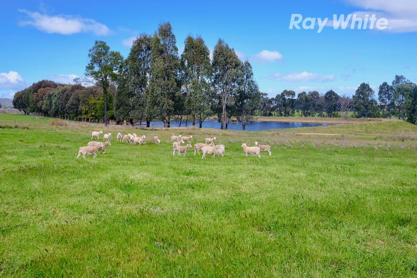 Click to view all images 296 Booth Rd Taminick VIC 3675 - Image 2