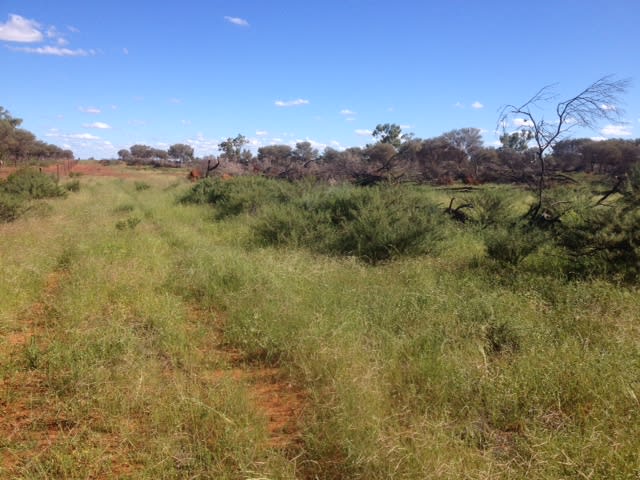 Click to view all images '' PENAROO" Eulo QLD 4491 - Image 1