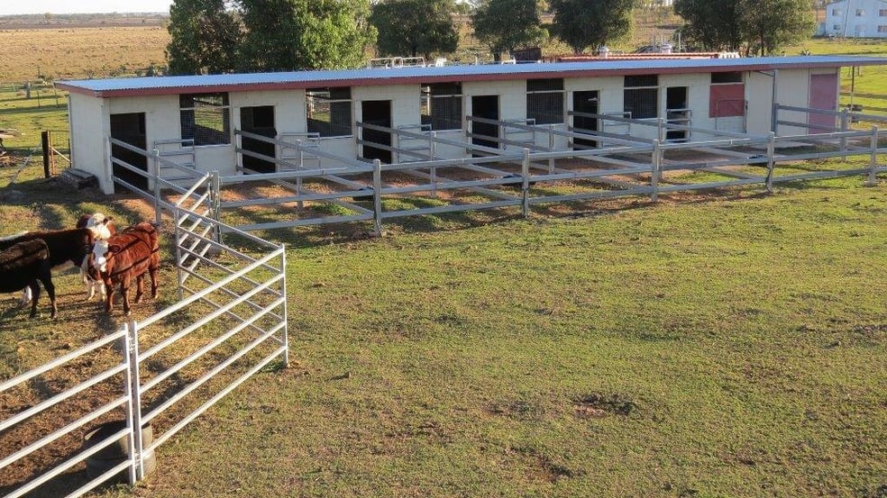 Click to view all images 34 ACRES BRICK HOME, STABLES Dalby QLD 4405 - Image 3