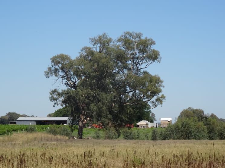 Click to view all images 2035 Wangaratta-Whitfield Road Moyhu VIC 3732 - Image 2