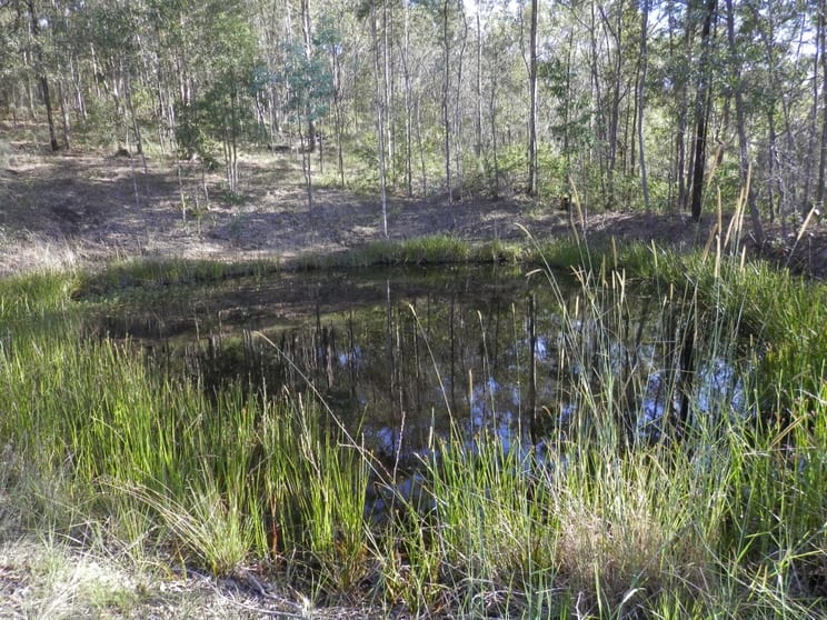 Click to view all images 342 North Ewingar Rd Ewingar NSW 2469 - Image 2