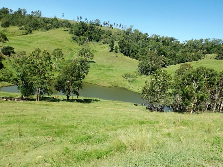 62 Nicholls Rd Mummulgum NSW 2469 - Image 2