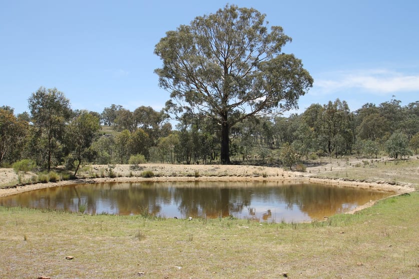 47/ Windgraves Road Mudgee NSW 2850 - Image 1