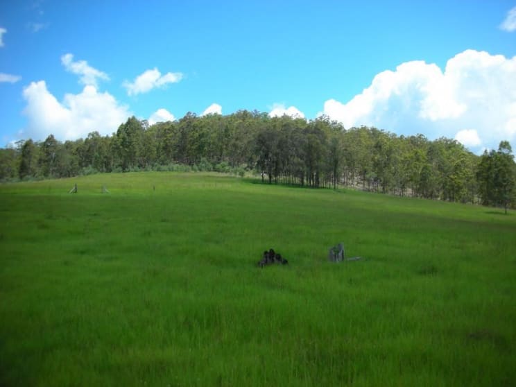 Click to view all images 483 Tabulam Road Tabulam NSW 2469 - Image 3