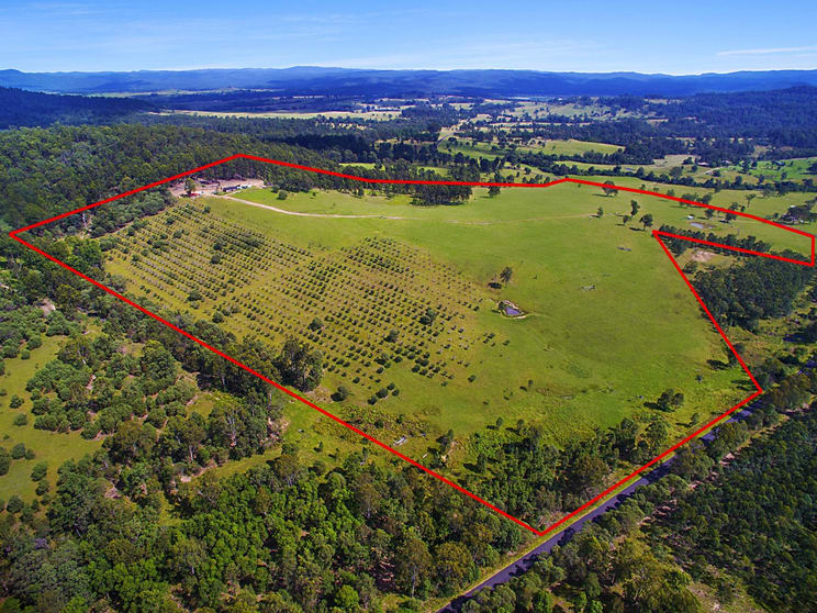 Click to view all images 483 Tabulam Road Tabulam NSW 2469 - Image 1