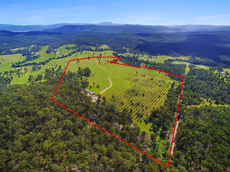 Click to view all images 483 Tabulam Road Tabulam NSW 2469 - Image 2