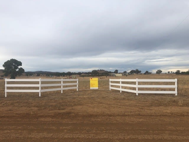 24 Zimmler Lane Gulgong NSW 2852 - Image 1
