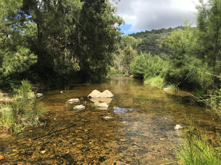 Rivertree NSW 2372 - Image 1