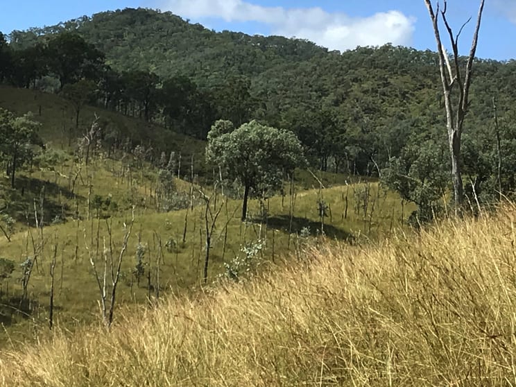 Rivertree NSW 2372 - Image 3