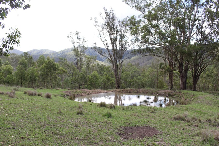 Lot 117 Bowman River Road Gloucester NSW 2422 - Image 2