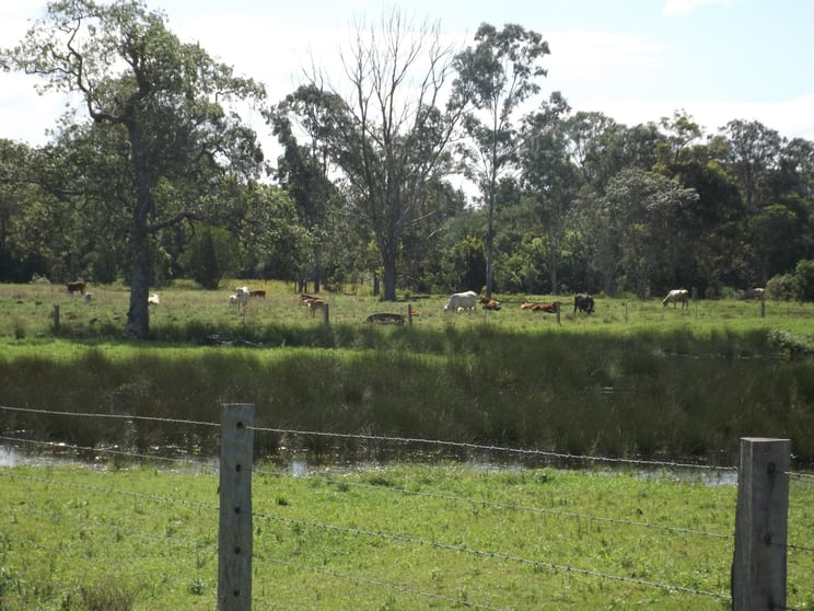 Click to view all images 380 Busbys Flat Rd Leeville NSW 2470 - Image 3