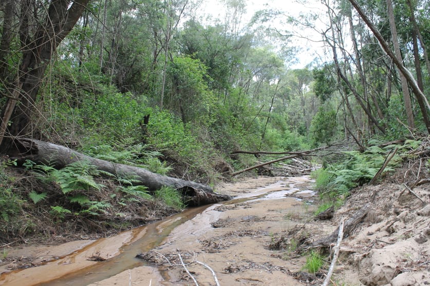 Click to view all images Camira NSW 2469 - Image 2