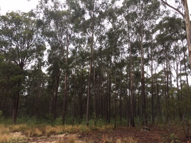 Click to view all images Camira NSW 2469 - Image 3