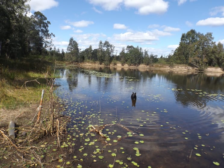 Click to view all images 1408 Dyraaba Rd Dyraaba NSW 2470 - Image 3