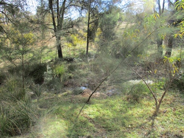 "Little Haven" Barraba, Bundarra Road Barraba NSW 2347 - Image 2