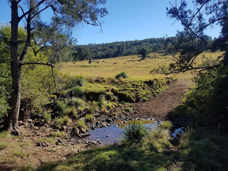LOT 10 & 11 Iron Pot Creek Road Kyogle NSW 2474 - Image 2