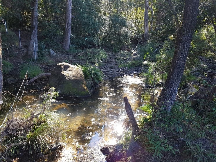 LOT 10 & 11 Iron Pot Creek Road Kyogle NSW 2474 - Image 1