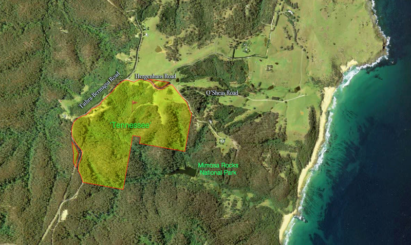 2636 Tathra-Bermagui Road Murrah NSW 2546 - Image 2