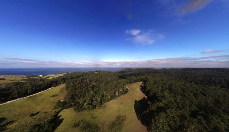 2636 Tathra-Bermagui Road Murrah NSW 2546 - Image 3