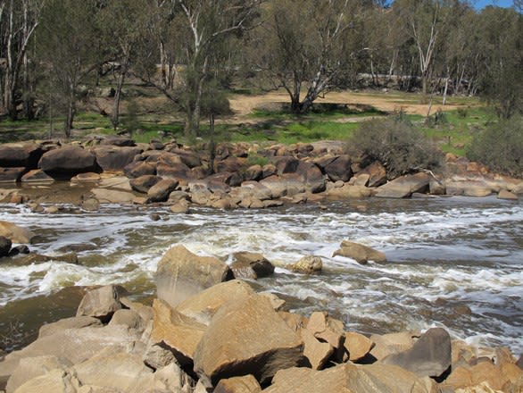 Springbank Farm, Julimar Rd Toodyay WA 6566 - Image 2