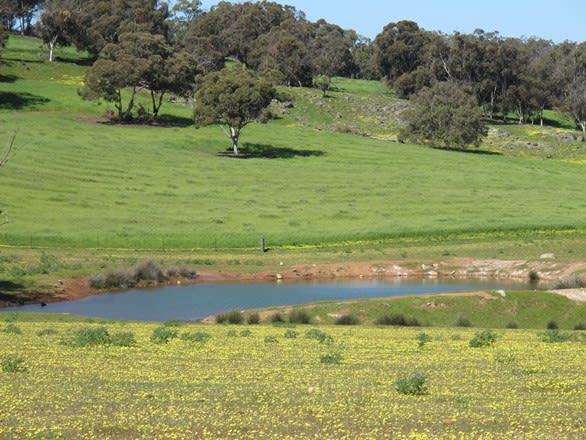 Springbank Farm, Julimar Rd Toodyay WA 6566 - Image 3