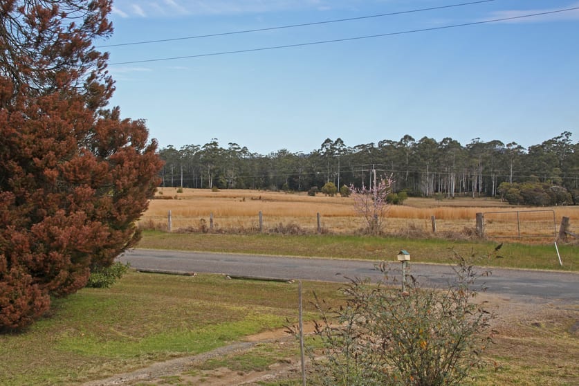 99 Bobs Creek Road Bobs Creek NSW 2439 - Image 3
