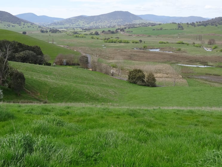 1916 Georges Creek Road Tallangatta VIC 3700 - Image 3
