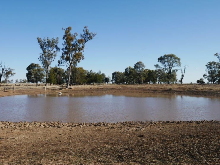 Click to view all images Tara QLD 4421 - Image 3