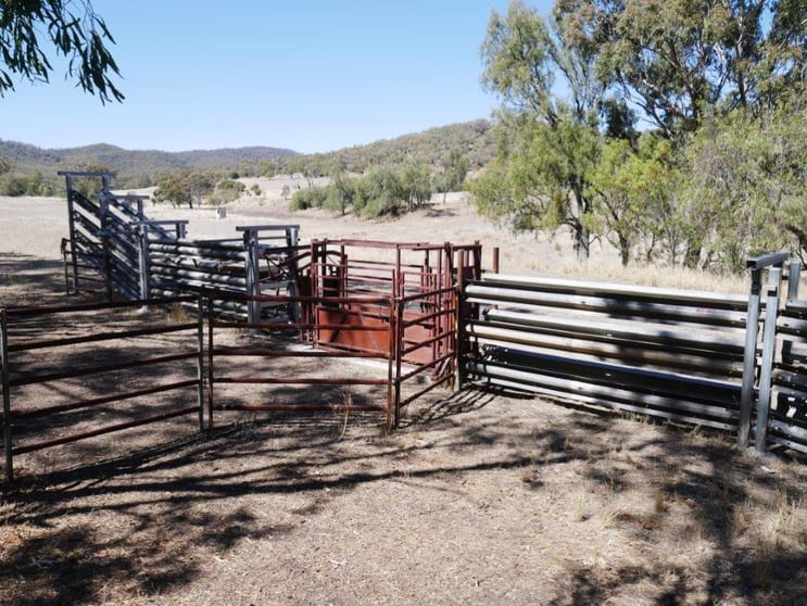 325 ACRES GRAZING LIFESTYLE Bell QLD 4408 - Image 3