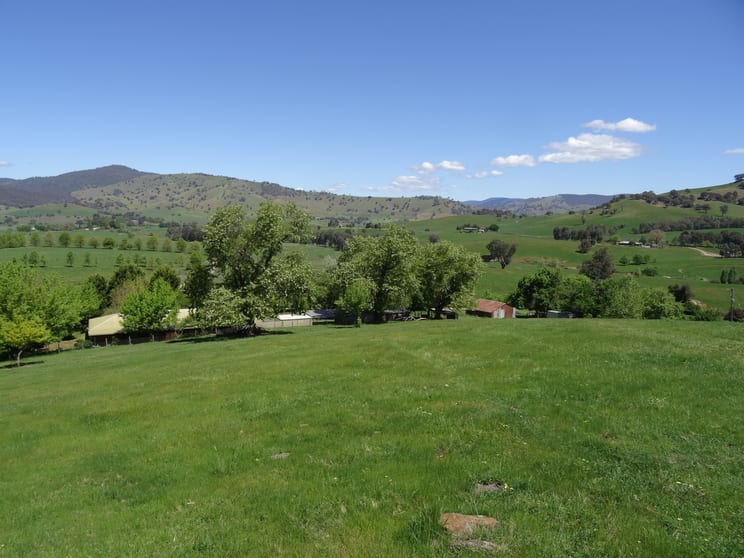 146 Mulholland Road Georges Creek VIC 3700 - Image 2