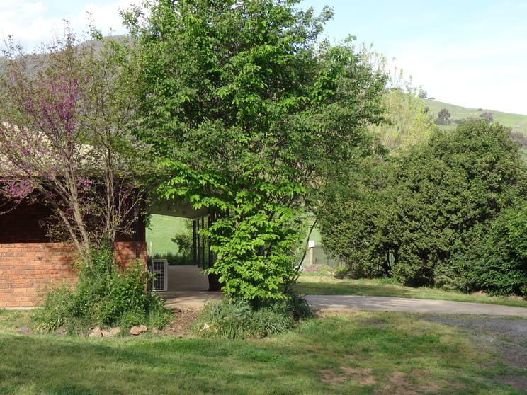 146 Mulholland Road Georges Creek VIC 3700 - Image 3