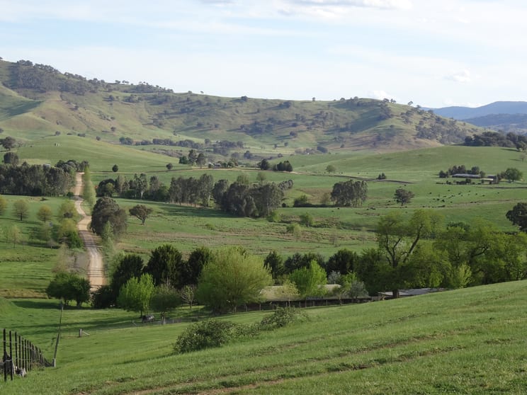146 Mulholland Road Georges Creek VIC 3700 - Image 1