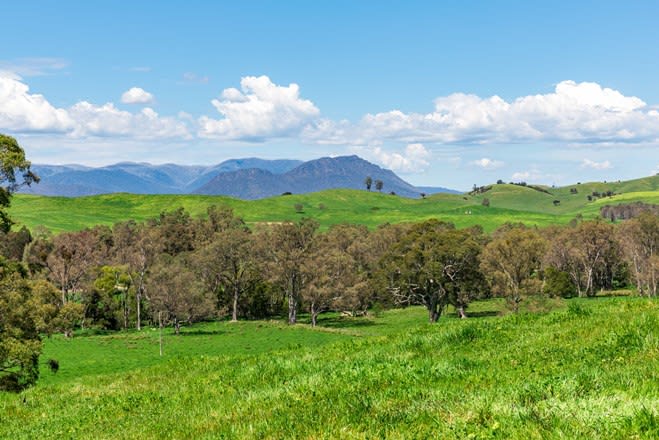 196 Connellys Creek Road Acheron VIC 3714 - Image 1