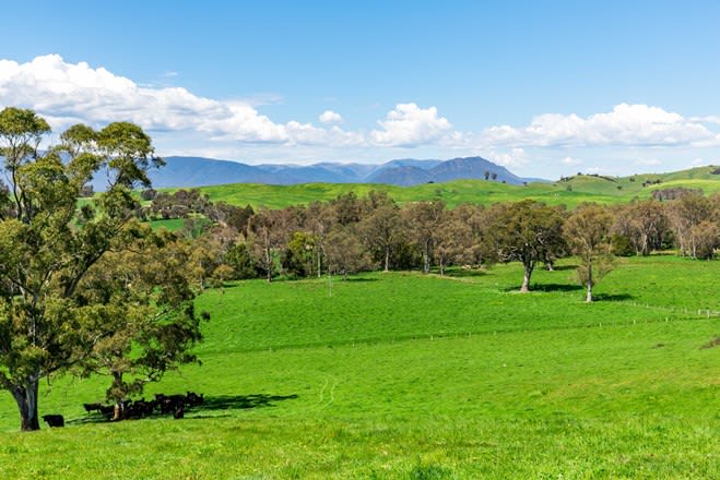 196 Connellys Creek Road Acheron VIC 3714 - Image 2
